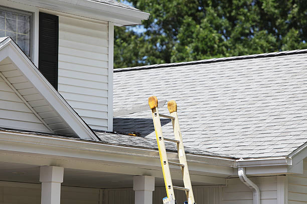 Storm Damage Siding Repair in Brooksville, MS